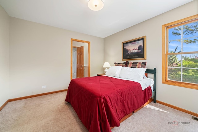bedroom featuring carpet floors, multiple windows, and baseboards