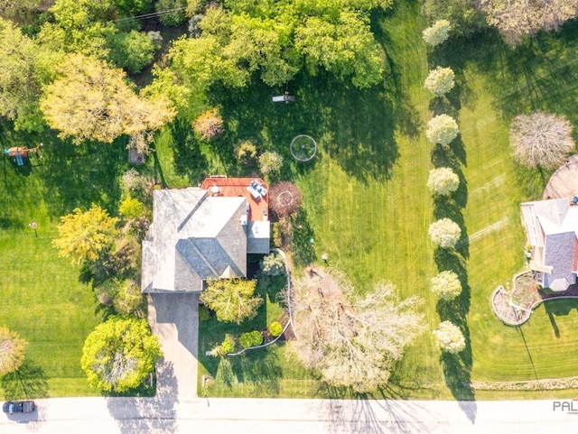 bird's eye view