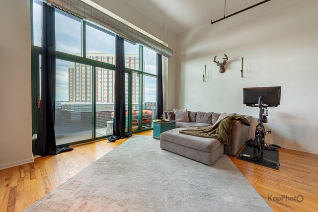 living room featuring wood finished floors and baseboards