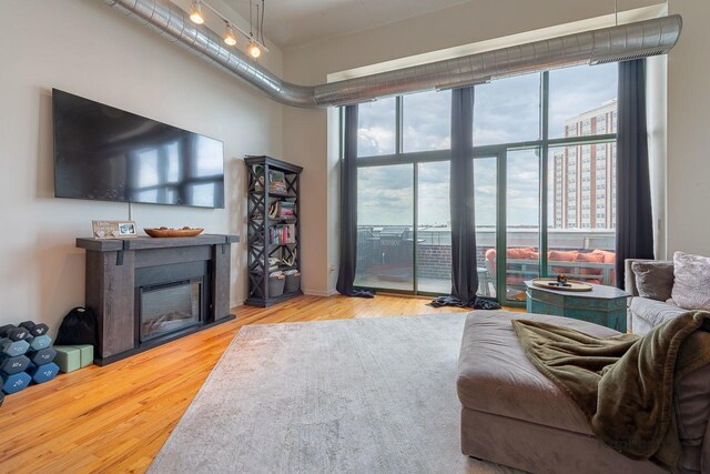 living room with a fireplace and wood finished floors