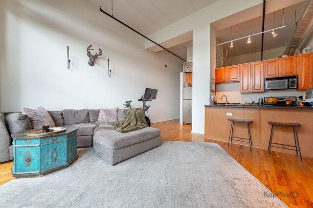 living room featuring a high ceiling, light wood-style floors, and track lighting