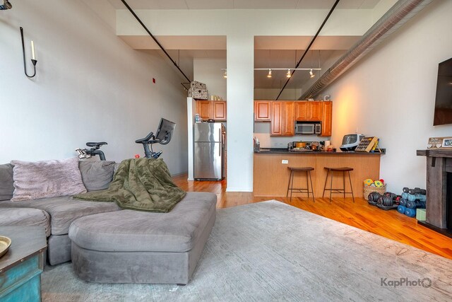 living room featuring light wood-type flooring