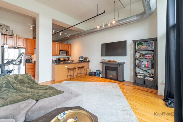 living room with rail lighting, light wood-style flooring, and a glass covered fireplace