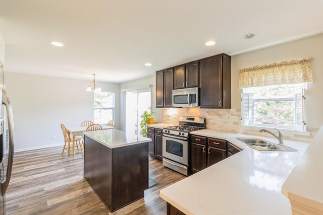101 Boathouse Rd, Pingree Grove, IL 60140 - kitchen with stainless steel appliances, a sink, dark brown cabinets, light countertops, and light wood-type flooring
