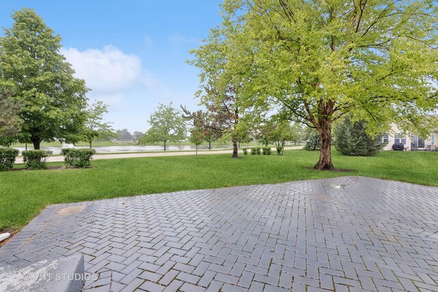 16306 Windsor Lake Ct, Crest Hill, IL 60403 - water view