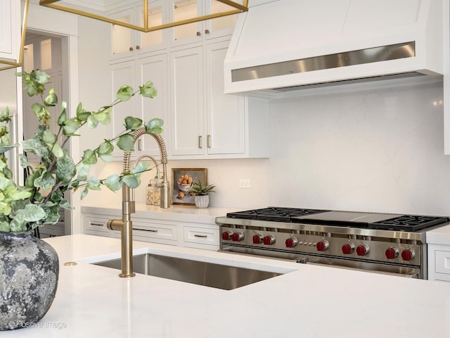 228 S Adams St, Hinsdale, IL 60521 - kitchen with under cabinet range hood, high end stainless steel range, light countertops, and white cabinetry