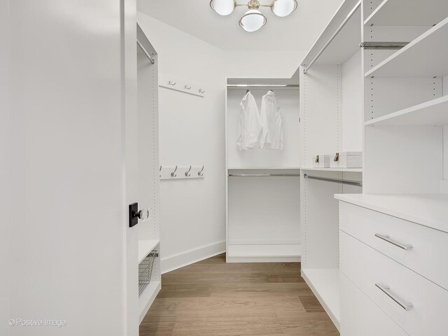 228 S Adams St, Hinsdale, IL 60521 - walk in closet featuring light wood finished floors