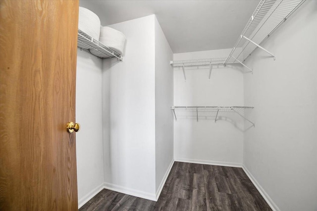 463 Valley Dr Unit 303, Naperville, IL 60563 - walk in closet with wood finished floors