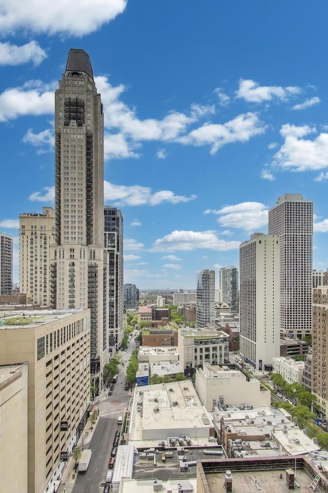 100 E Walton St Unit 25F, Chicago, IL 60611 - skyline view