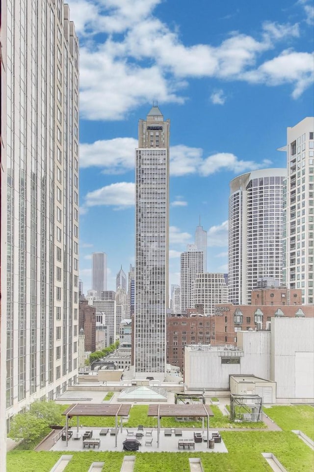 100 E Walton St Unit 25F, Chicago, IL 60611 - skyline view