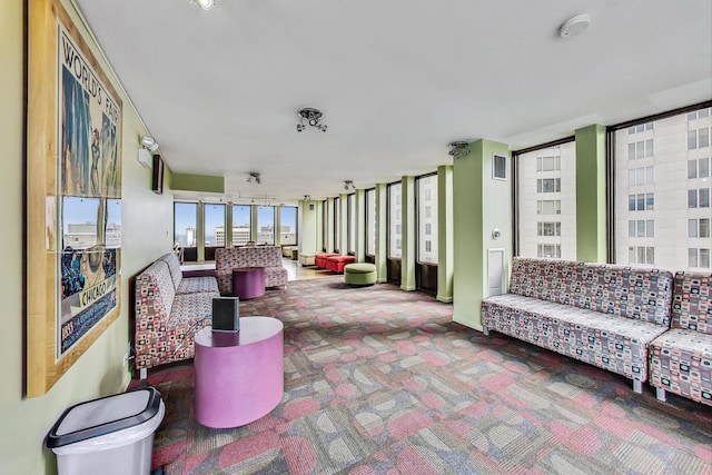 100 E Walton St Unit 25F, Chicago, IL 60611 - view of sunroom