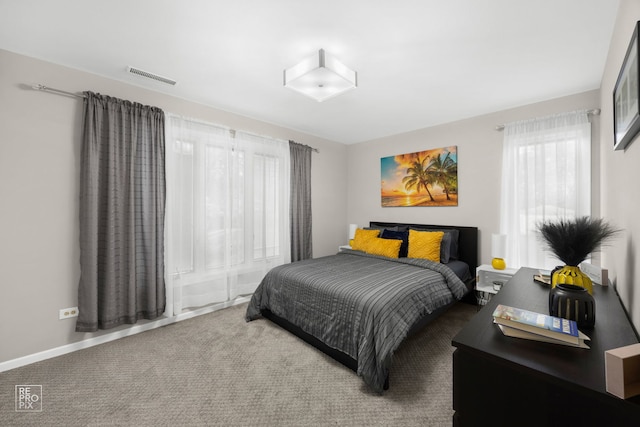 bedroom featuring multiple windows, carpet flooring, and baseboards