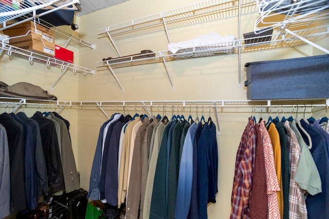 view of spacious closet