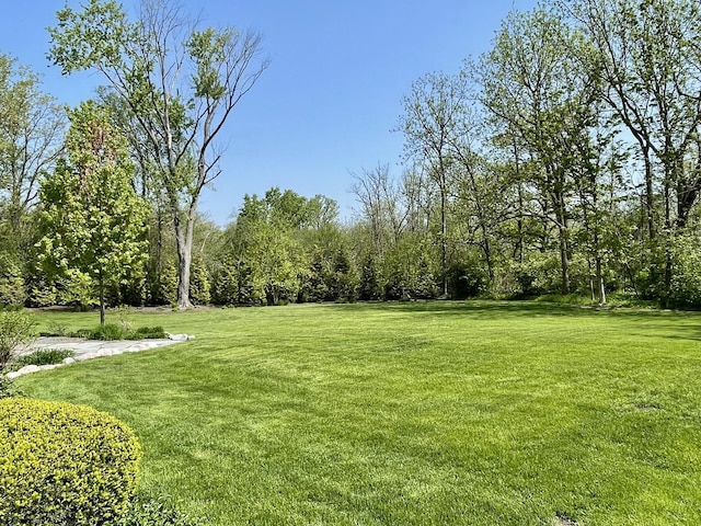 1414 N Ave, Bannockburn, IL 60015 - view of grassy yard