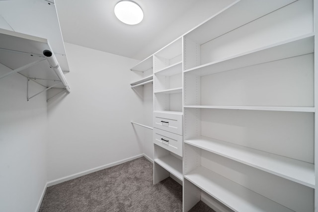 walk in closet with carpet