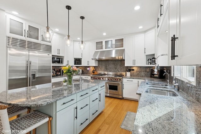 20662 Francisca Way, Frankfort, IL 60423 - kitchen featuring under cabinet range hood, built in appliances, a sink, white cabinets, and a kitchen breakfast bar