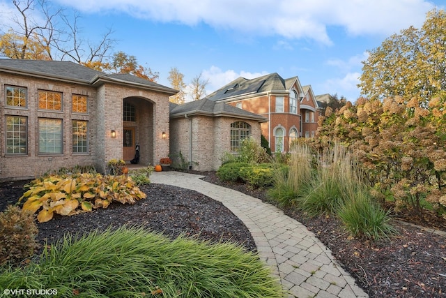 20662 Francisca Way, Frankfort, IL 60423 - view of front of property with brick siding