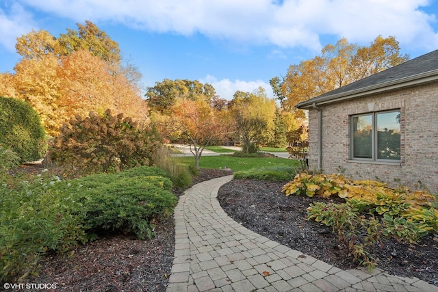 20662 Francisca Way, Frankfort, IL 60423 - view of yard