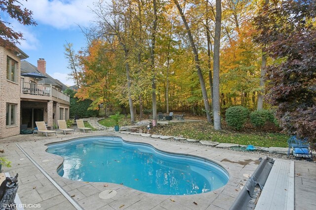 20662 Francisca Way, Frankfort, IL 60423 - swimming pool with a patio