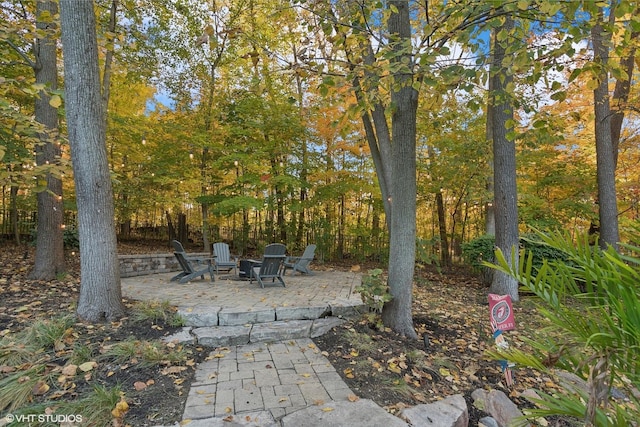 20662 Francisca Way, Frankfort, IL 60423 - view of yard featuring a patio area and a fire pit