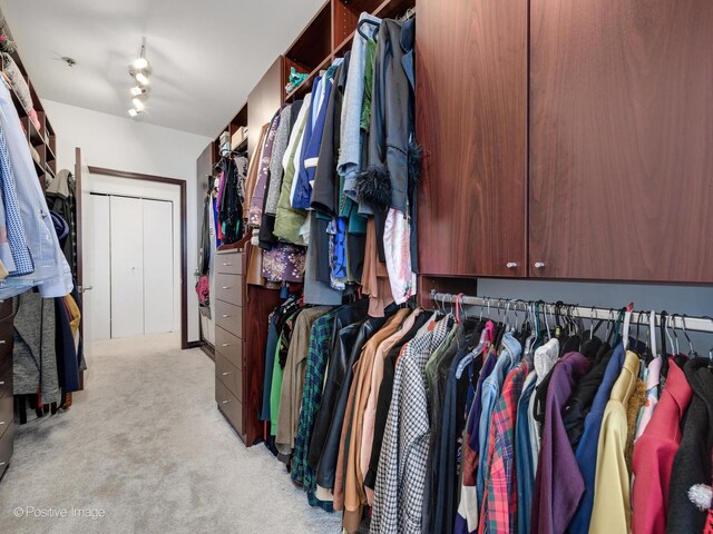 33 W Ontario St Unit 58E, Chicago, IL 60654 - spacious closet with light carpet