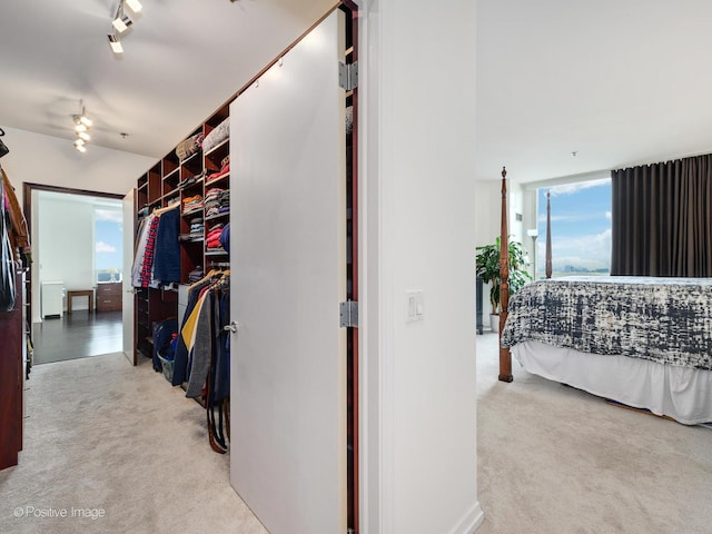 33 W Ontario St Unit 58E, Chicago, IL 60654 - spacious closet featuring carpet flooring and a ceiling fan