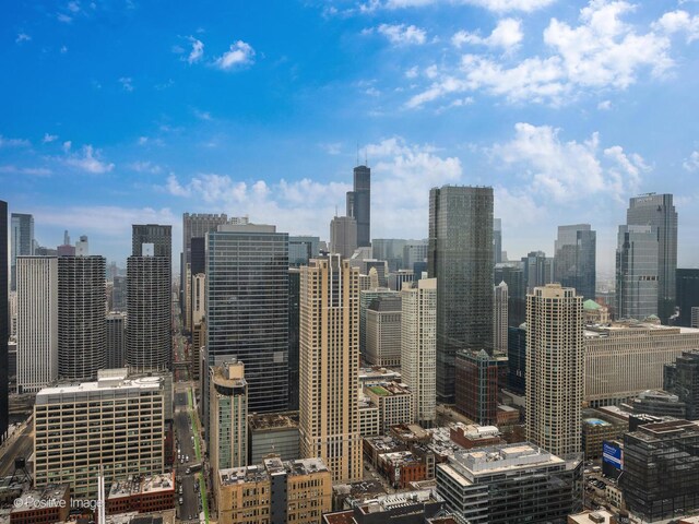 33 W Ontario St Unit 58E, Chicago, IL 60654 - view of city