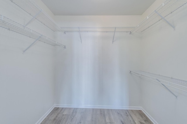 walk in closet with light wood-type flooring