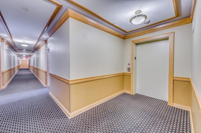 corridor featuring carpet floors