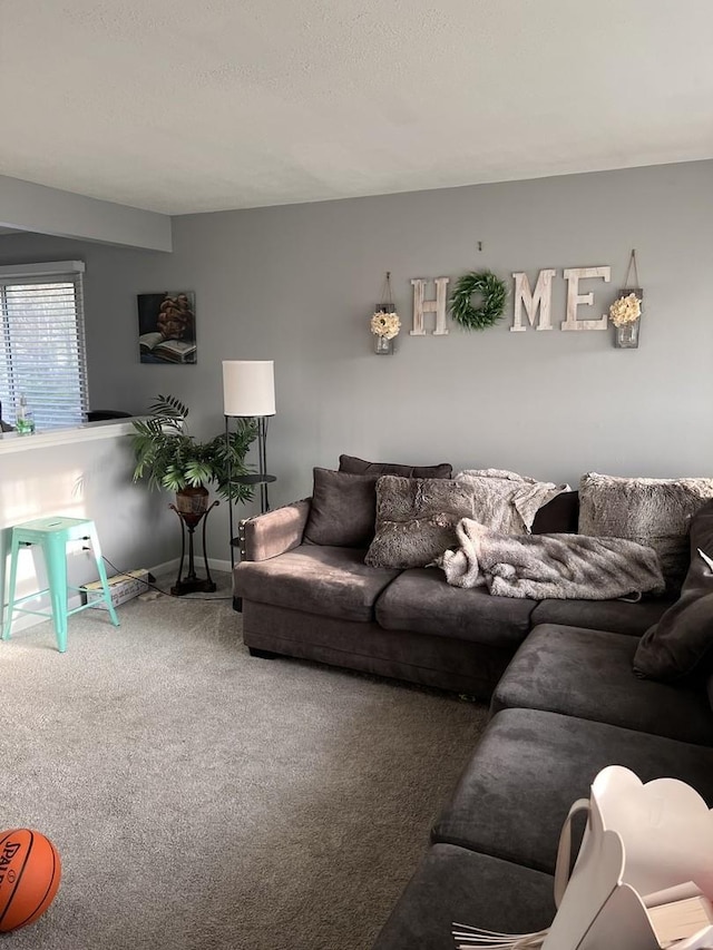 10014 S Aberdeen St, Chicago, IL 60643 - carpeted living room featuring baseboards
