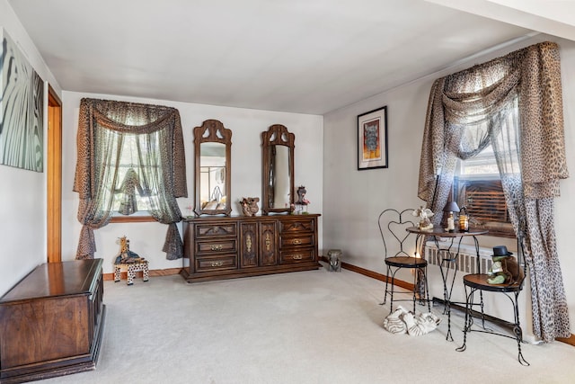 428 Julia St, Lemont, IL 60439 - living area with carpet and baseboards