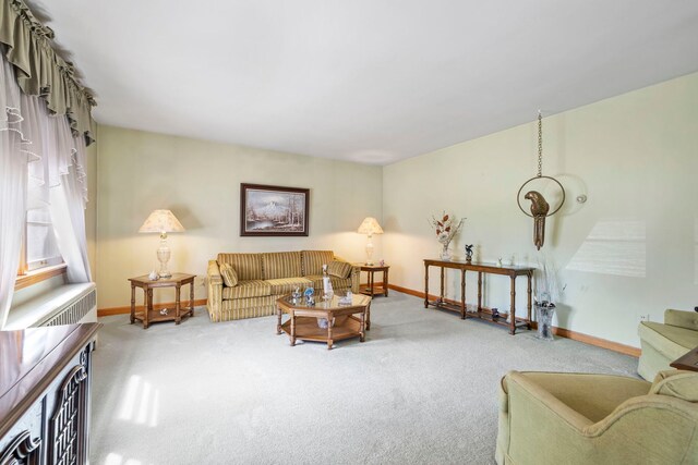 428 Julia St, Lemont, IL 60439 - living area featuring carpet floors and baseboards