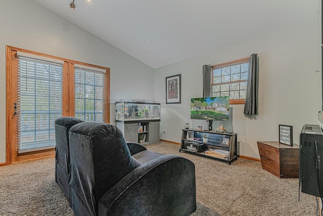 25647 W Old Grand Ave, Ingleside, IL 60041 - living room with carpet floors, vaulted ceiling, healthy amount of natural light, and baseboards