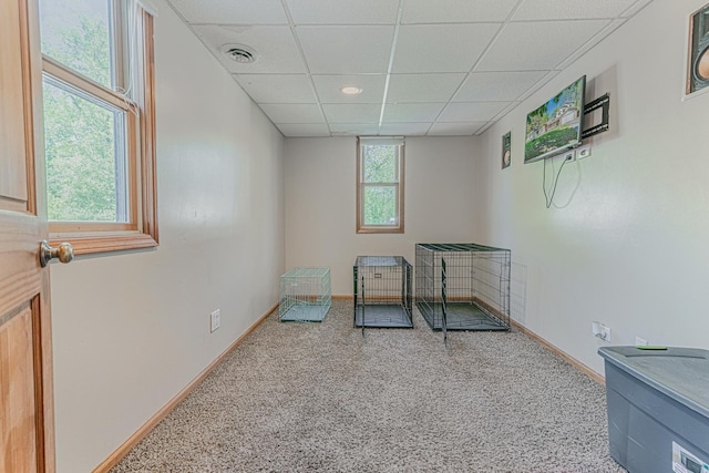 25647 W Old Grand Ave, Ingleside, IL 60041 - unfurnished room featuring a drop ceiling, carpet floors, and baseboards