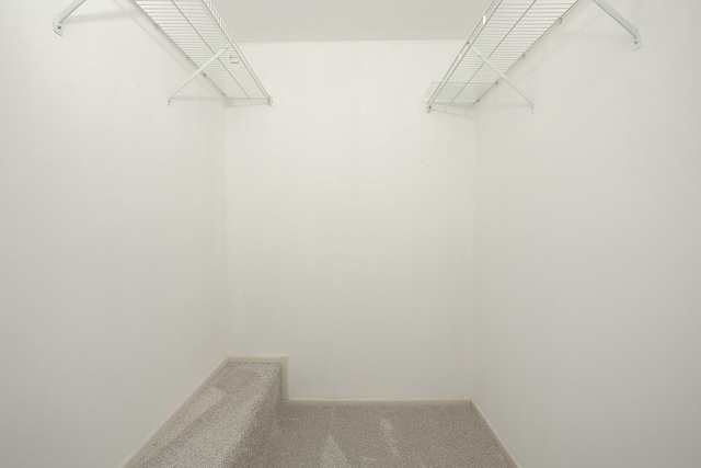 1224 Clearview Ct, Buffalo Grove, IL 60089 - spacious closet with carpet
