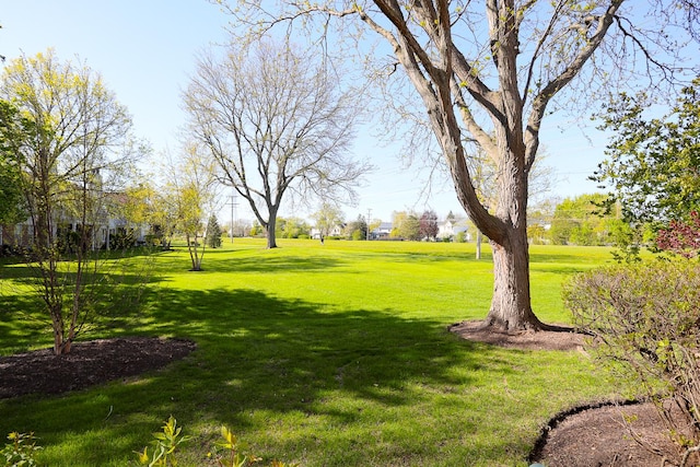1224 Clearview Ct, Buffalo Grove, IL 60089 - view of green lawn