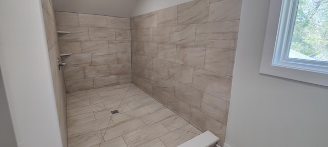 407 Allen St, Belvidere, IL 61008 - full bathroom featuring a tile shower
