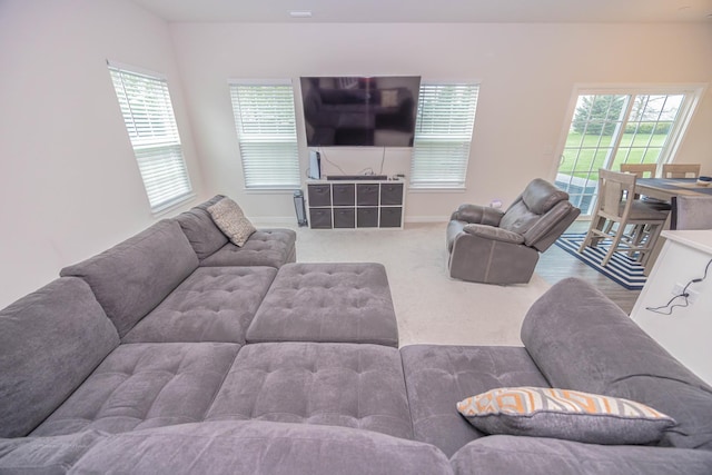 carpeted living room with healthy amount of natural light and baseboards