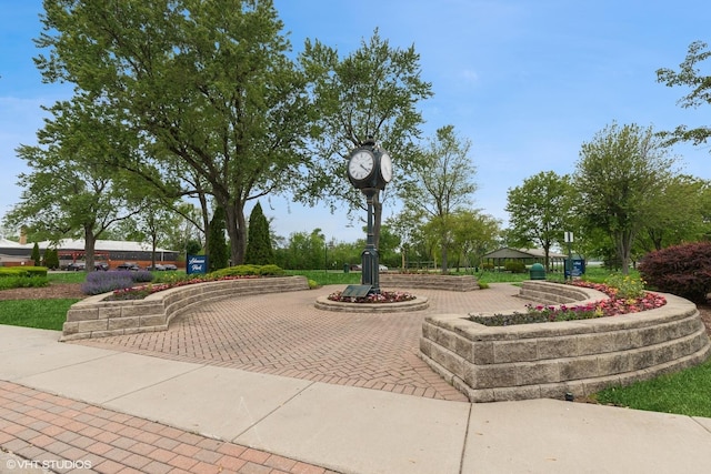 206 Villa Ave, Lake Villa, IL 60046 - view of home's community