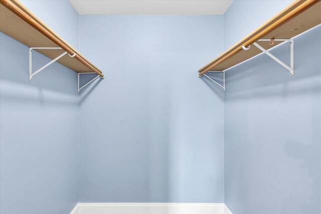 19 Nightingale Cir, Camargo, IL 61919 - view of walk in closet