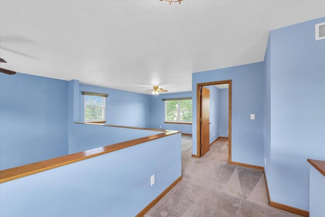 19 Nightingale Cir, Camargo, IL 61919 - hall featuring baseboards and light carpet