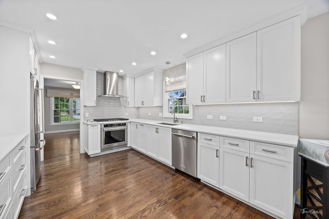 13362 S Golden Meadow Dr, Plainfield, IL 60585 - kitchen featuring wall chimney range hood, appliances with stainless steel finishes, a sink, white cabinetry, and dark wood-style flooring