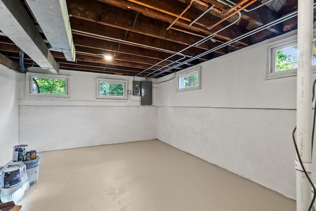 250 N Oak St, Palatine, IL 60067 - below grade area with electric panel