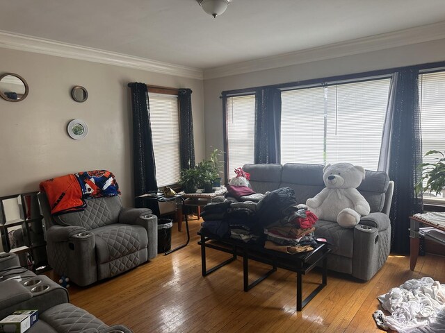 living room with plenty of natural light, ornamental molding, and light wood-style flooring