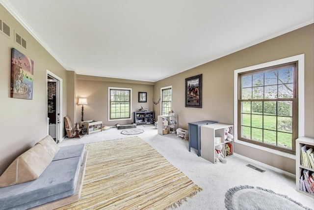 705 Skye Ln, Inverness, IL 60010 - bedroom featuring carpet flooring, ornamental molding, and baseboards