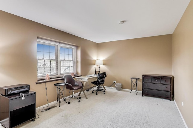 705 Skye Ln, Inverness, IL 60010 - office space with baseboards and carpet flooring