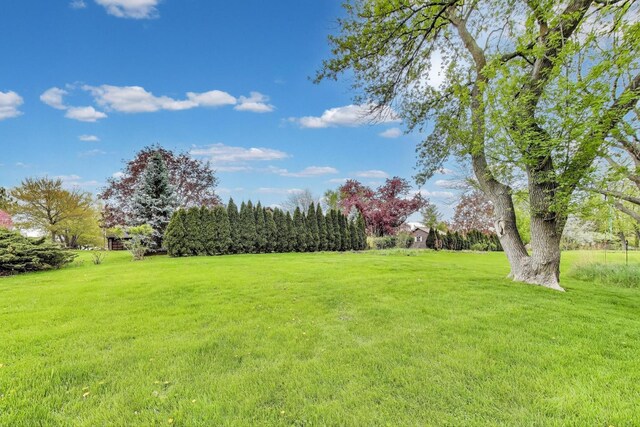 705 Skye Ln, Inverness, IL 60010 - view of green lawn with a view of countryside