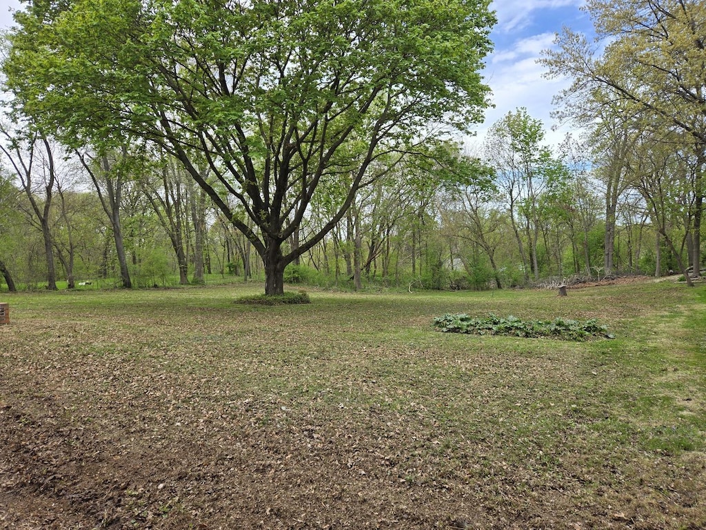 0 Riverview Ave, South Elgin, IL 60177 - photo 1