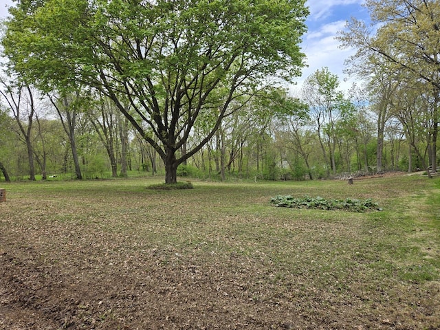 0 Riverview Ave, South Elgin, IL 60177 - photo 1