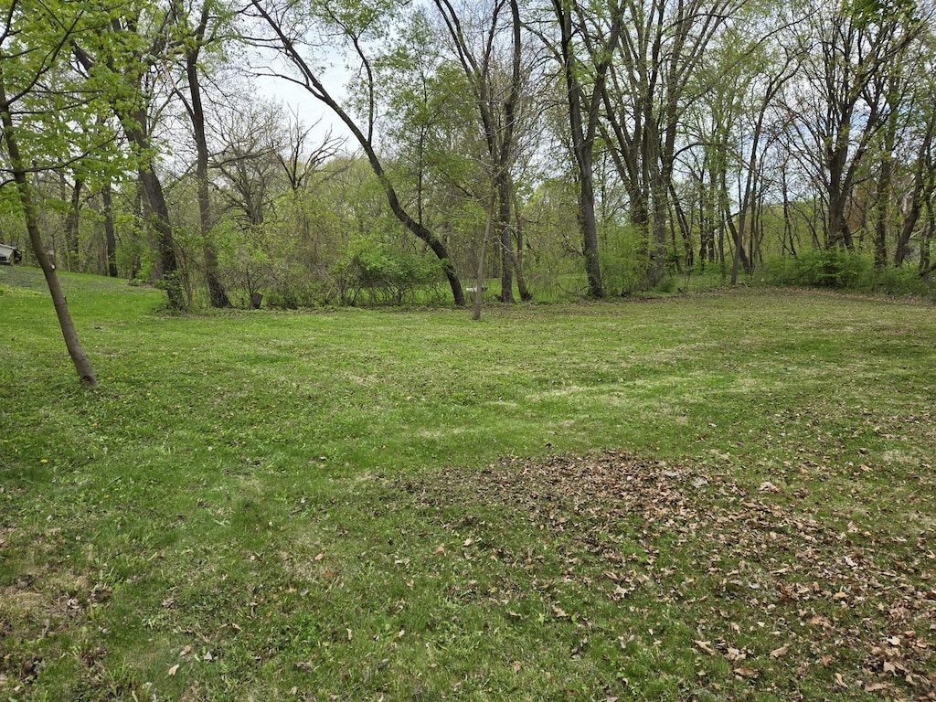 0 Riverview Ave, South Elgin, IL 60177 - photo 2